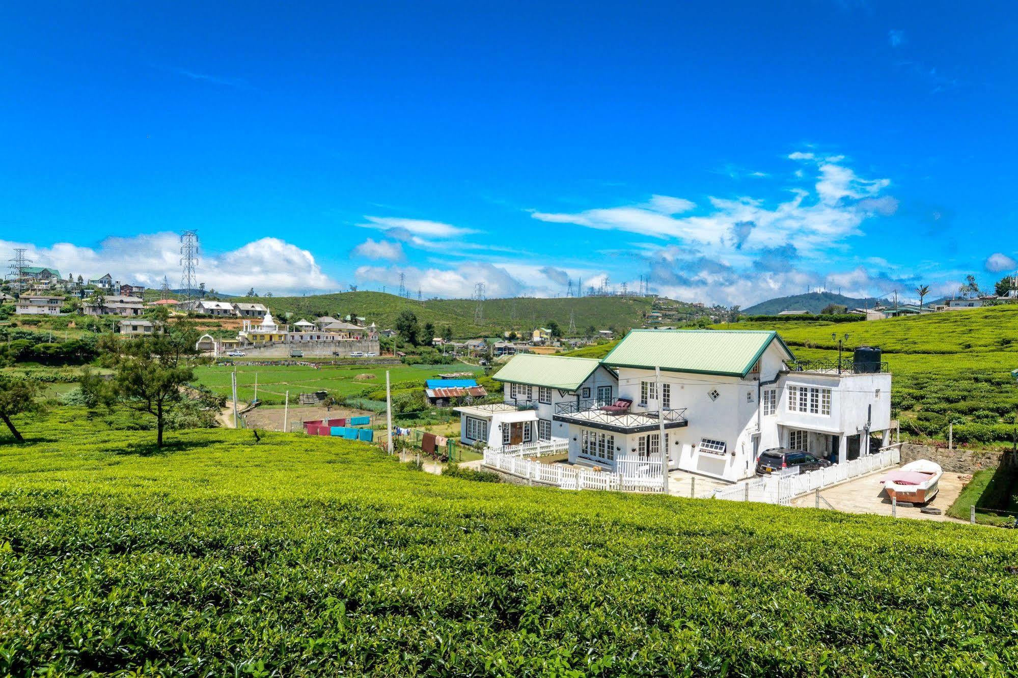 Villa Tea Fields Nuwara Eliya Bagian luar foto